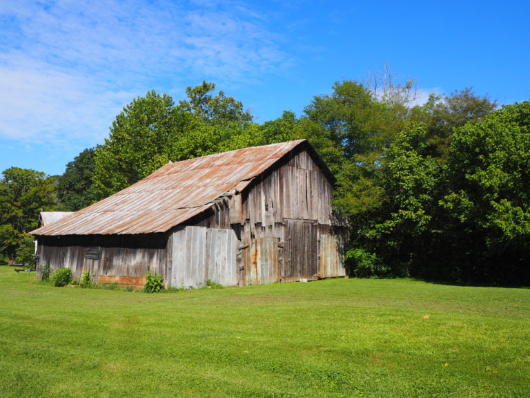 Trail Review: The Virginia Creeper Trail - Everyday MTB