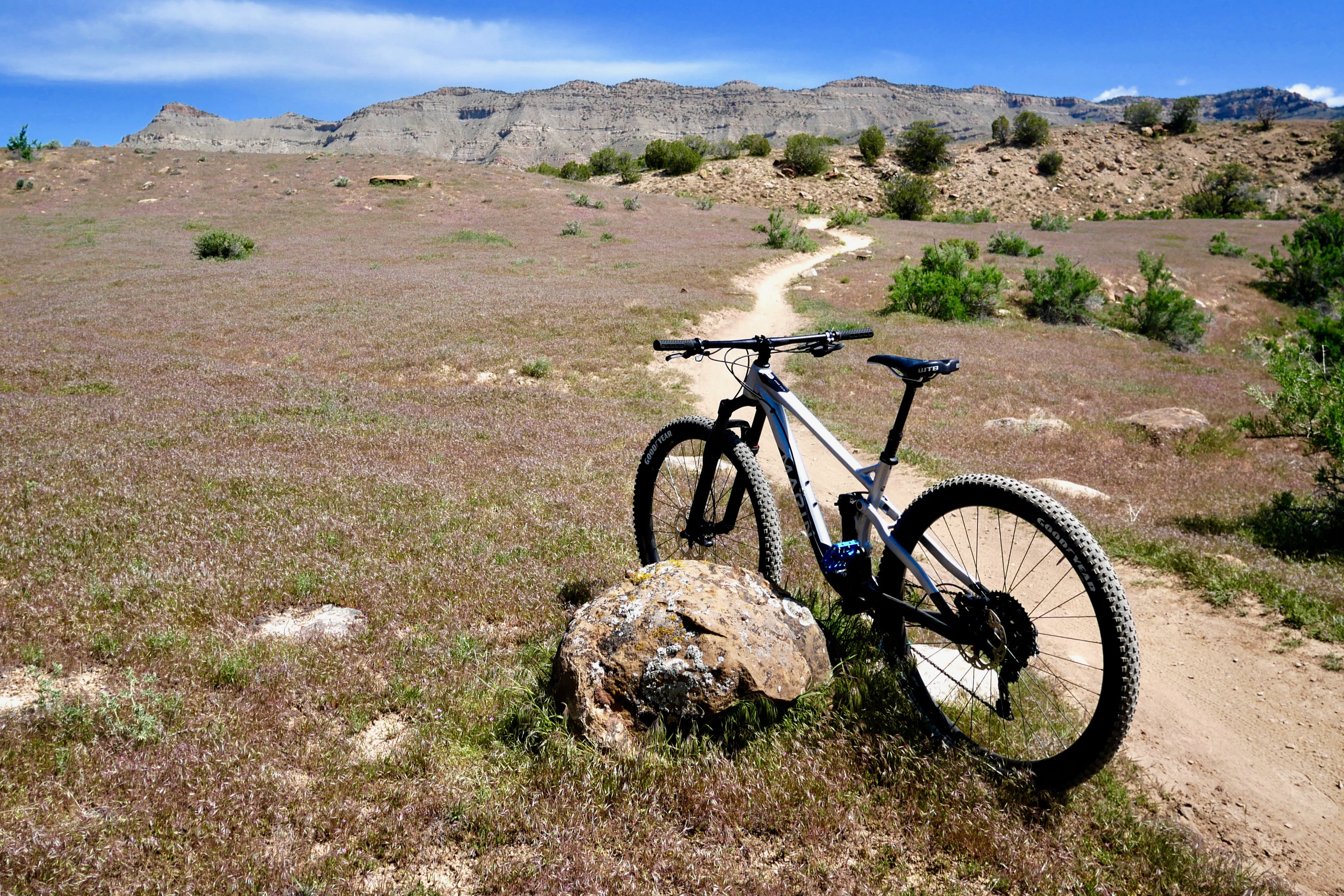 Marin Rift Zone Ride Review