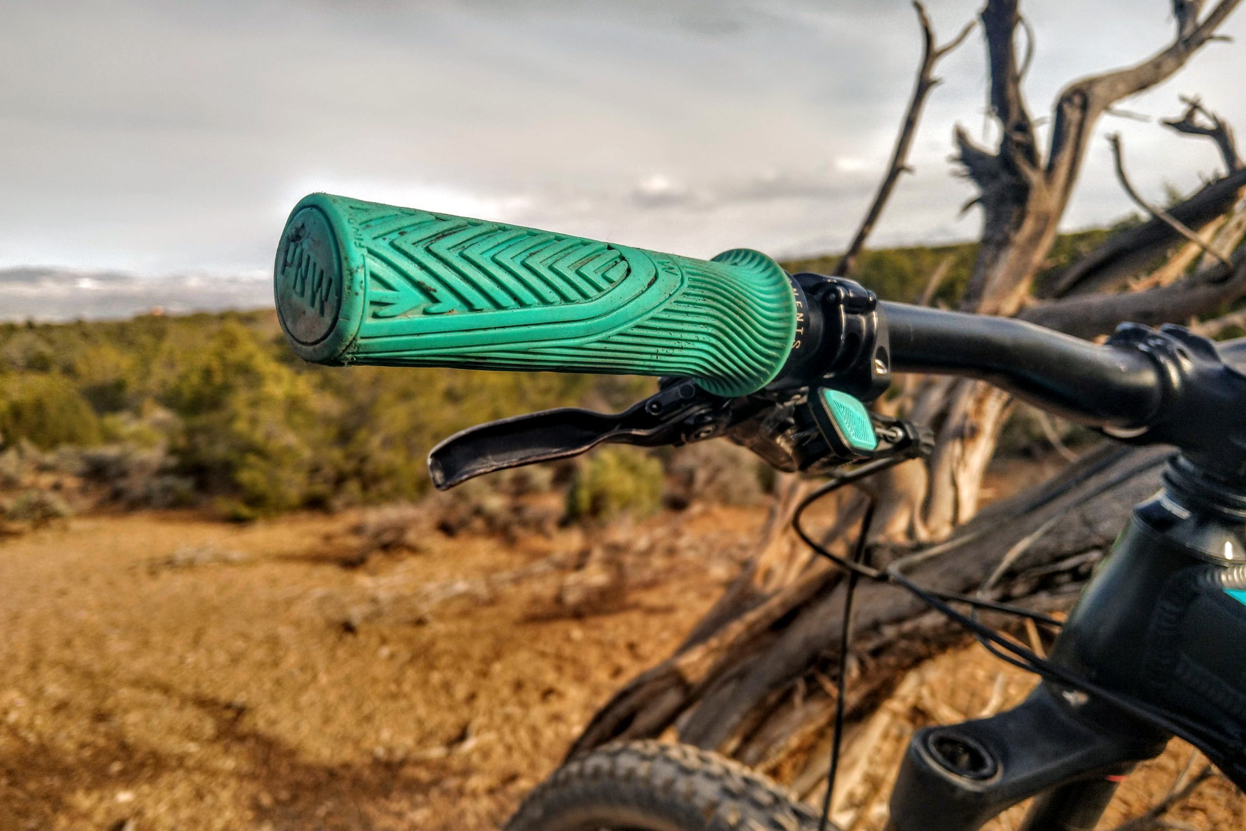 PNW Loam Grips Review